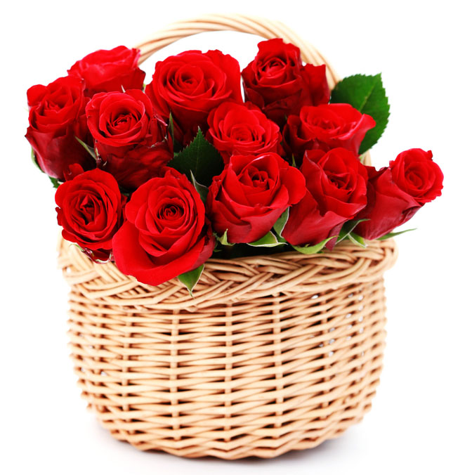 basket of red roses